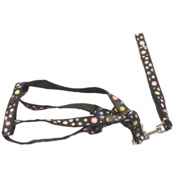 Assorted-Multi-Colored-Harness-_-Lead-for-dogs_1024x1024.jpg